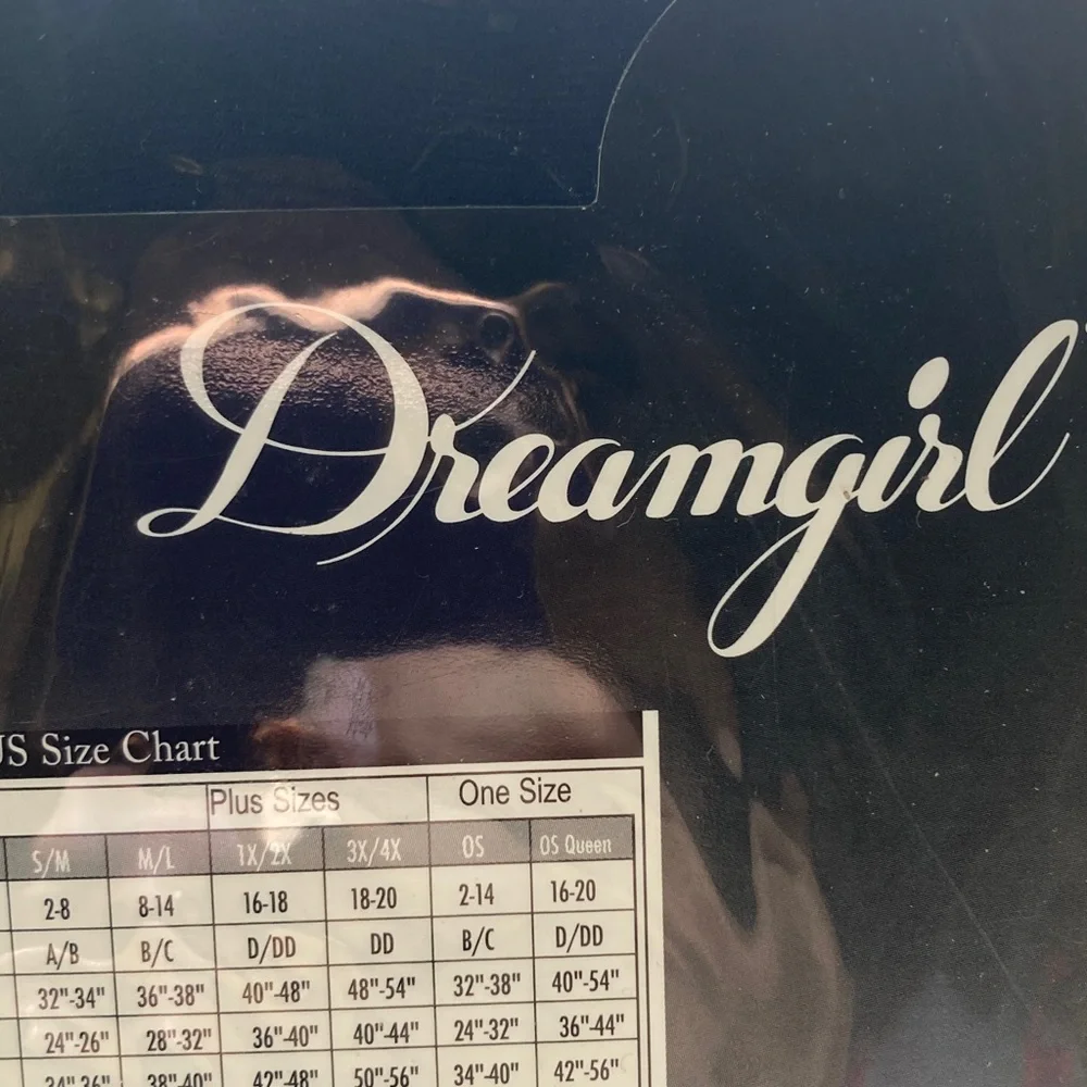 DREAMGIRL Black Sheer Thigh Highs NEW IN PACKAGE one size